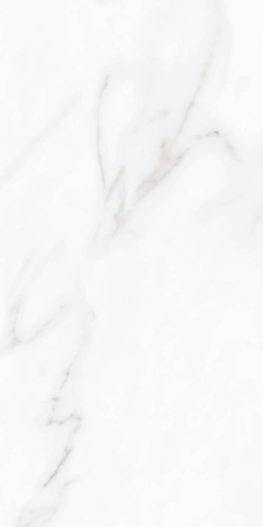 Carenza Bianca Polished 12 x 24